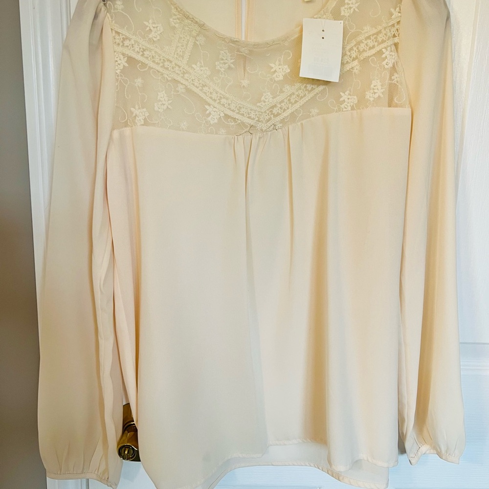 Monteau Cream Sheer Lace Blouse
